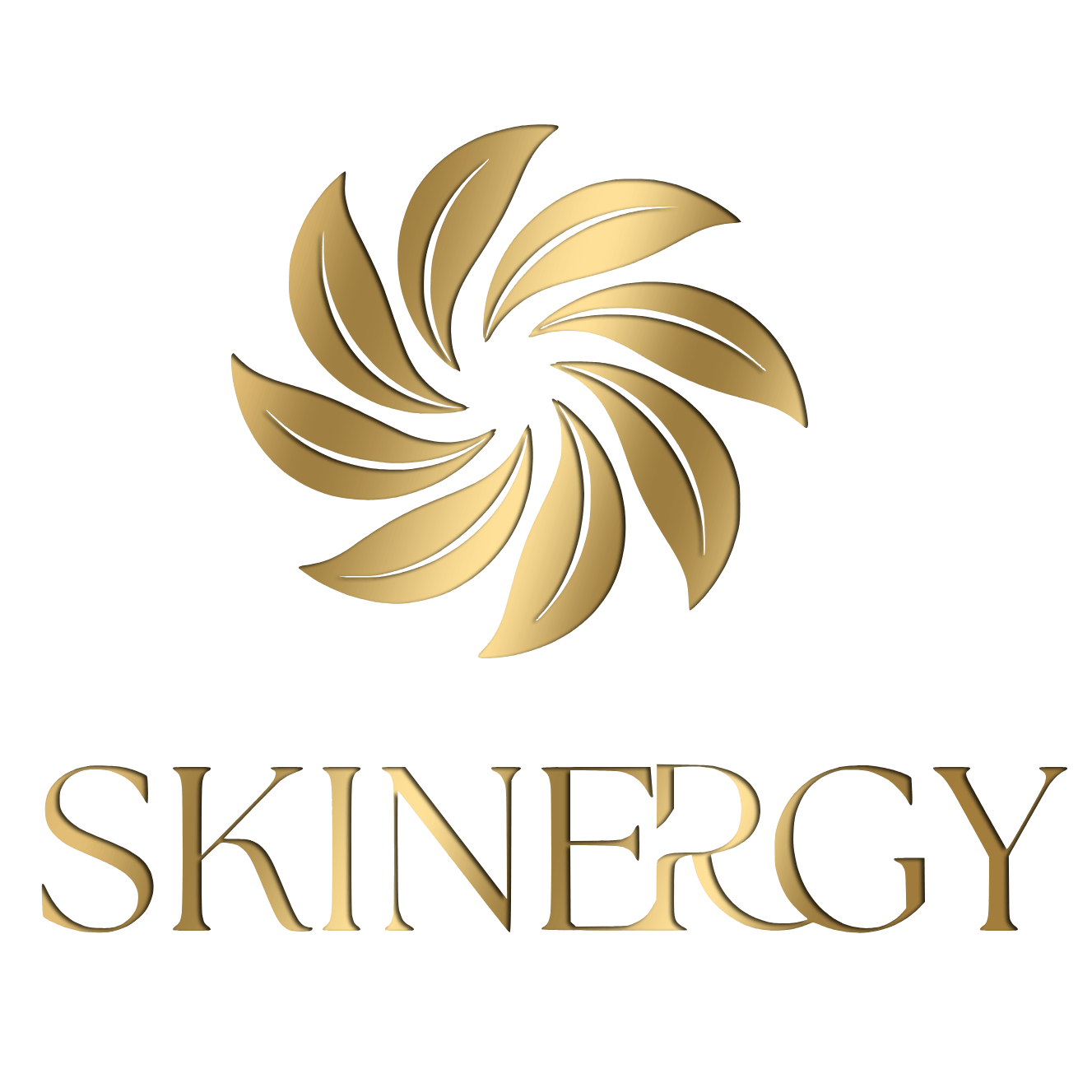 logo Skinergy